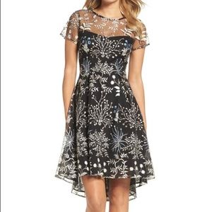 Adrianna Papell High Low Sheer Dress